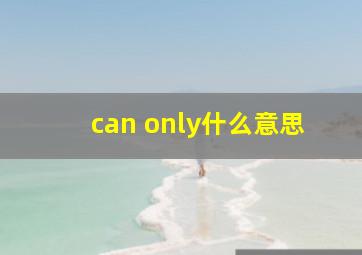 can only什么意思